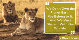 wildlife conservation in Kenya